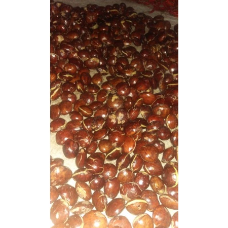 

Jengkol Tua 1000gram