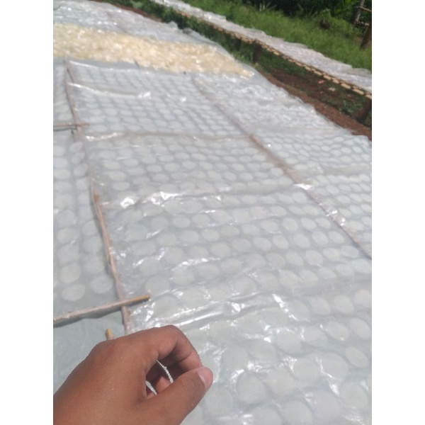 

Keripik Kaca Mentah diameter 5cm
