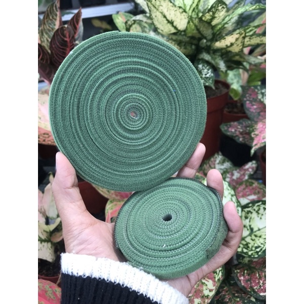 velcro pengikat tanaman