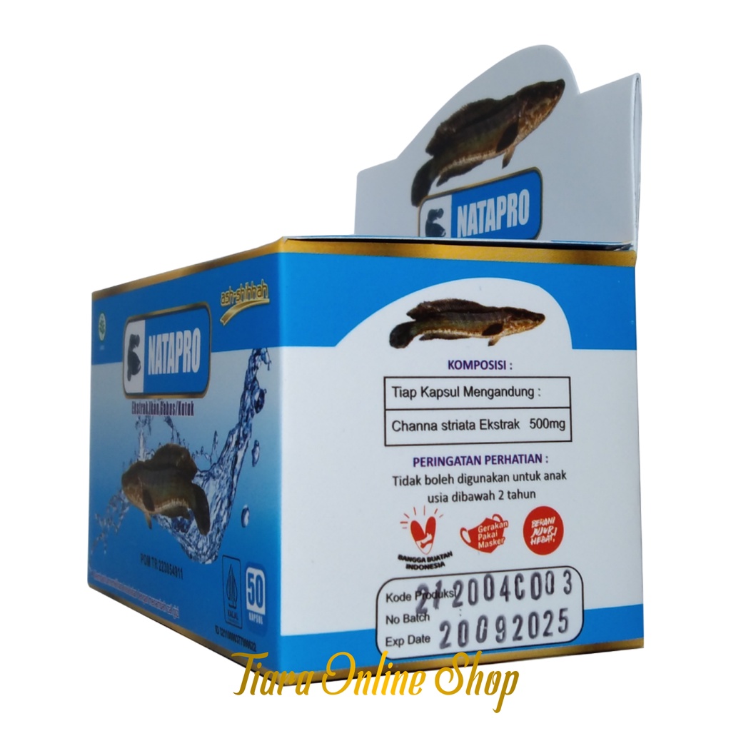Natapro Ekstrak ikan Gabus / Kutuk isi 50 Kapsul Ash-Shihhah BPOM