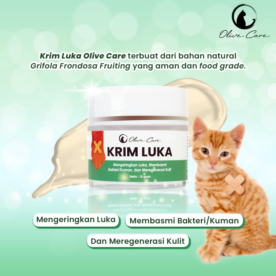 OLIVE CARE Salep Krim Kucing KRIM LUKA untuk Kulit Luka Basah dan Kering, Luka Berdarah, Koreng, Cegah Infeksi dan Regenerasi Kulit