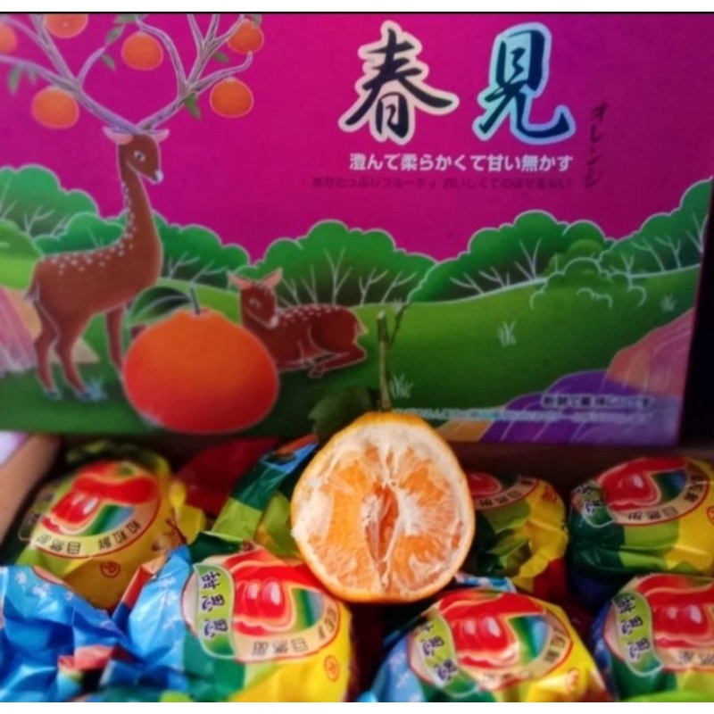 

Jeruk Dekopon/Jeruk Sumo 1 Dus