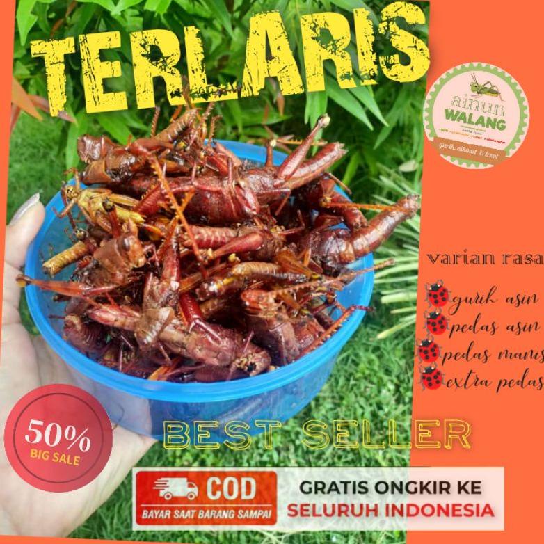 

[PRODUK-BPCOT51] ⭐⭐⭐⭐⭐ COD / BELALANG GORENG/WALANG GORENG BESAR BEST SELLER Harga