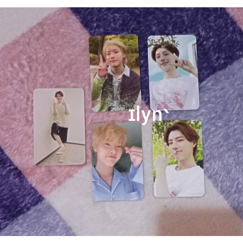 PC WOODZ EQUAL WOOPS SG