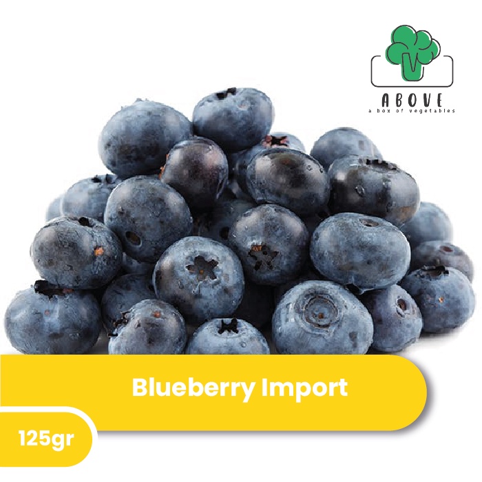 

Blueberry Import [125 gr/Pack] - Buah ABOVE
