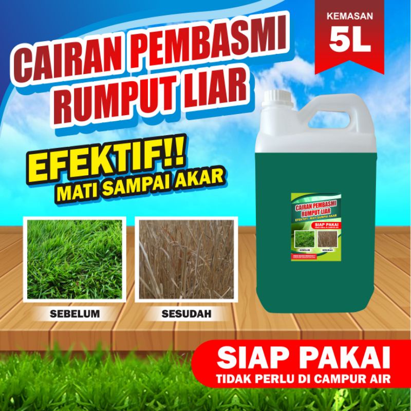 Cairan Pembasmi Rumput Liar kemasan jurigen 5 liter