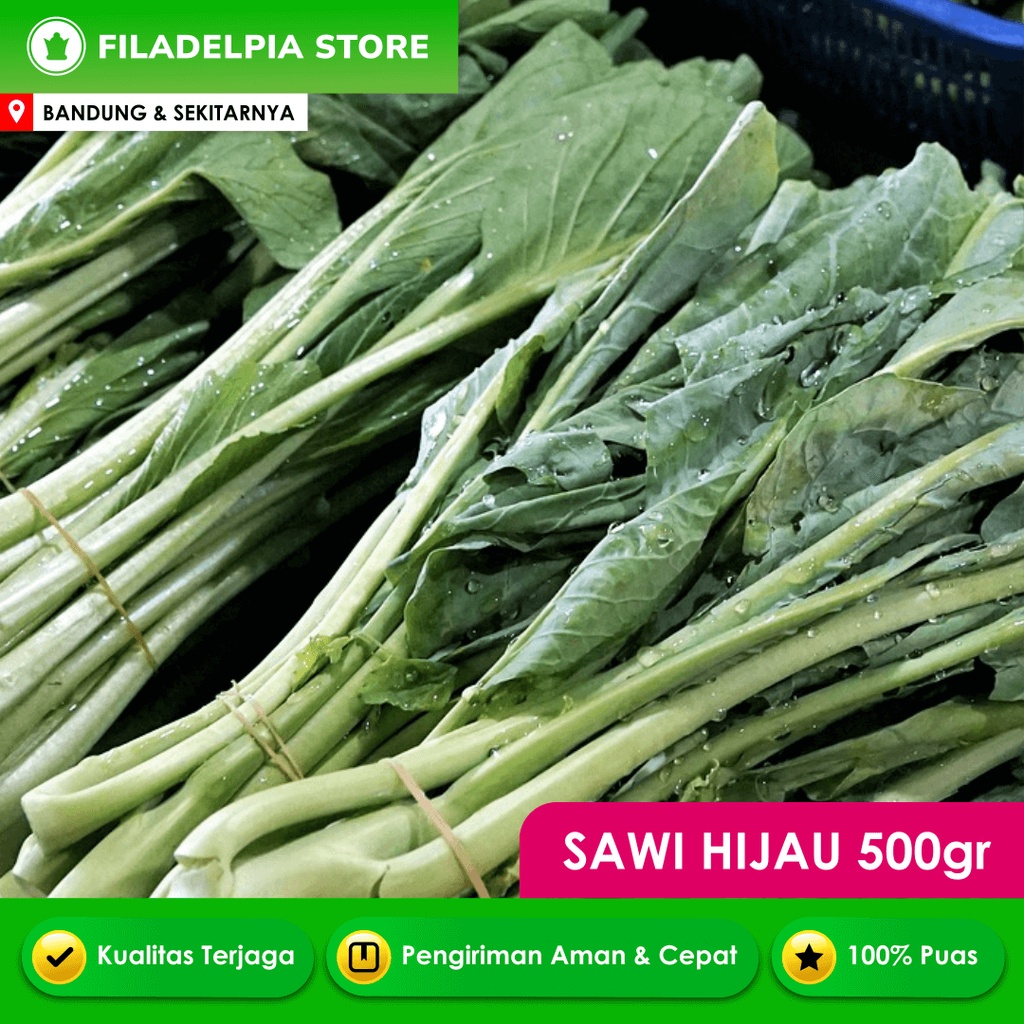 

Sawi Hijau / Caisim 500gr Sayuran Bandung