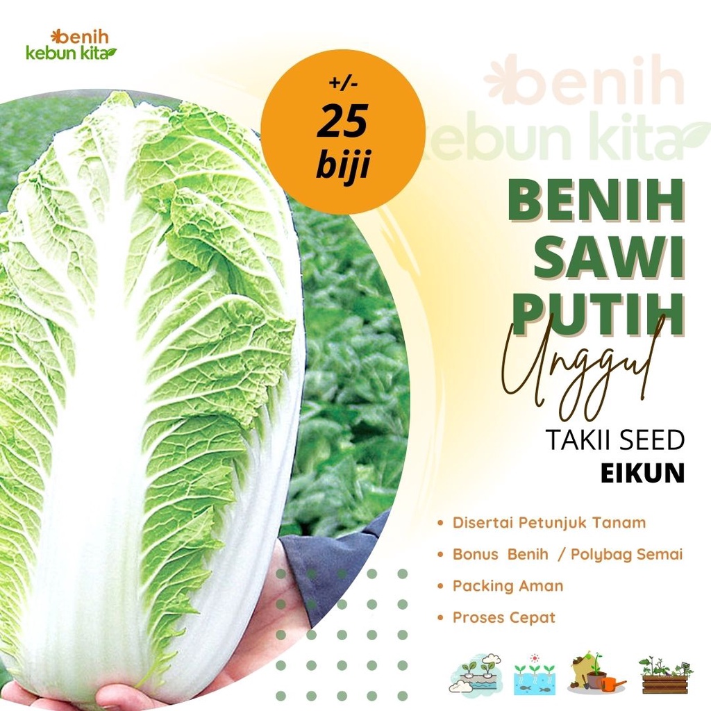 Jual 25 Benih Sawi Putih Eikun Takii Seed Dataran Rendah Sayur Slobor