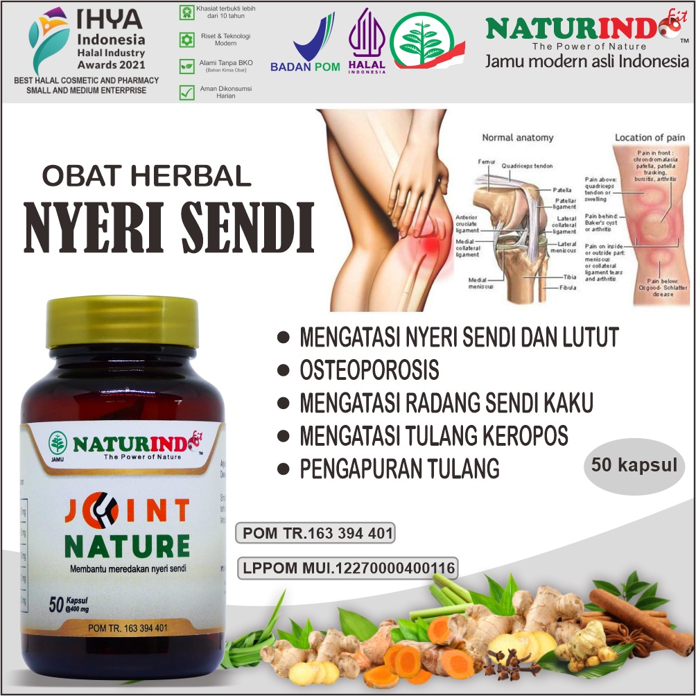 Jual Obat Nyeri Sendi Dan Tulang Lutut Paling Ampuh Obat Pengapuran Tulang Sendi Lutut Obat