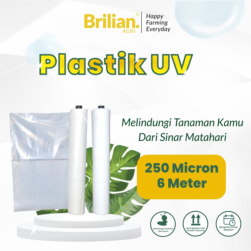 Plastik UV Lebar 6 Meter Tebal 250 Micron 14%