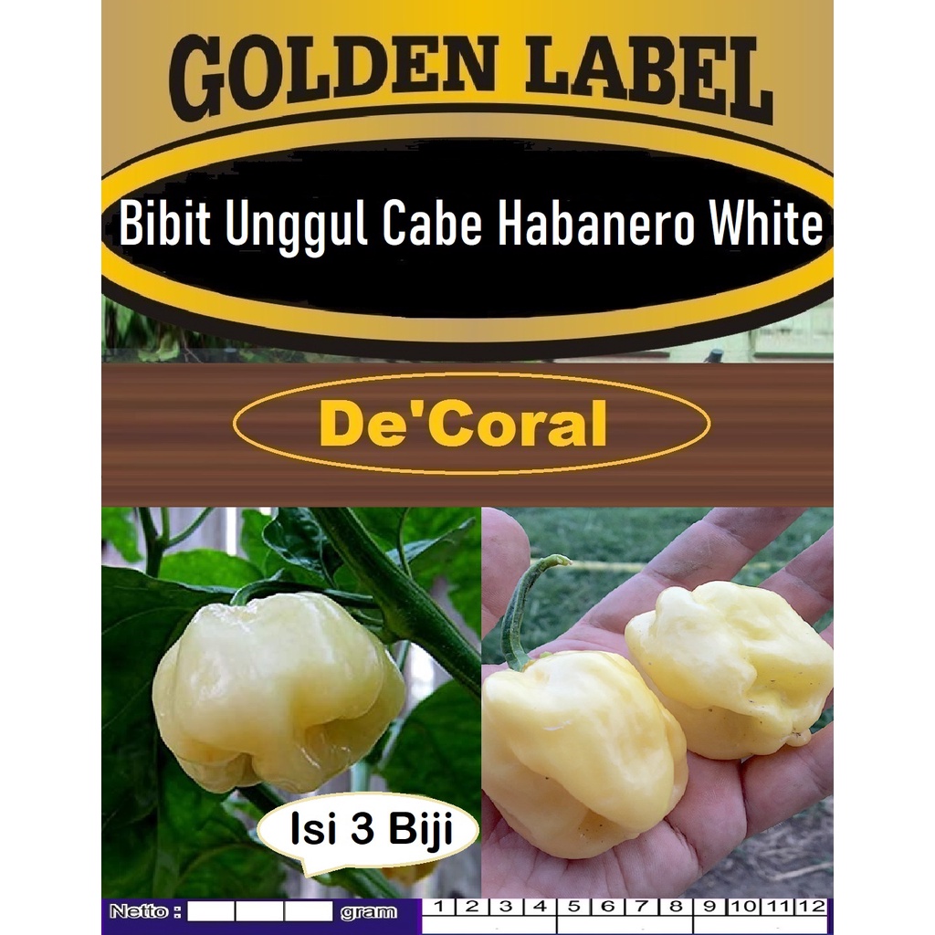Bibit Unggul Cabe Habanero White | Biji Benih Cabe Habanero Putih