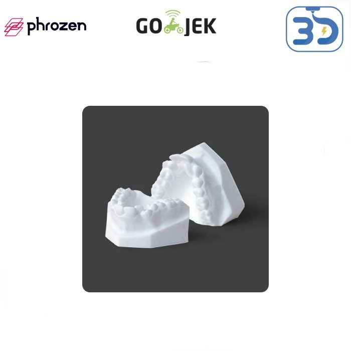 Original Phrozen Resin Dental Study Model for LCD DLP 3D Printer