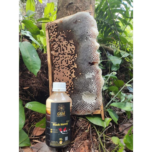 

madu hutan akasia murni dijamin asli 100%