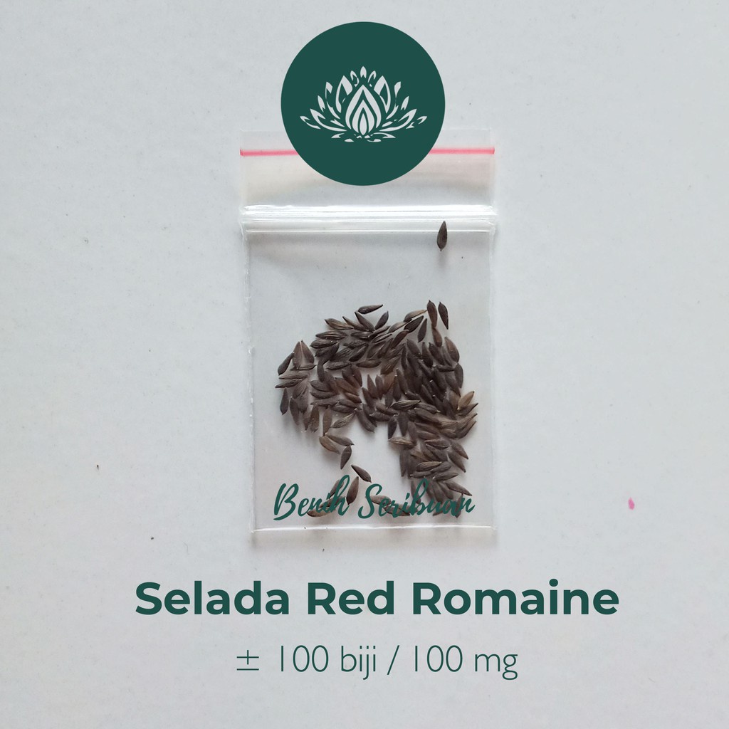 Benih Seribuan - 100 Bibit Sayuran Selada Red Romaine Merah Unggul