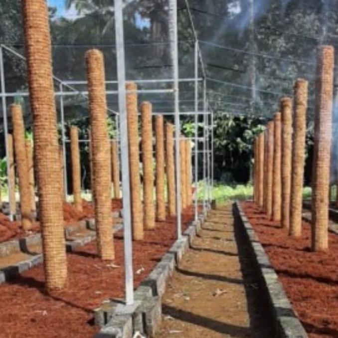 Turus Jumbo Penyangga Tanaman 150 cm