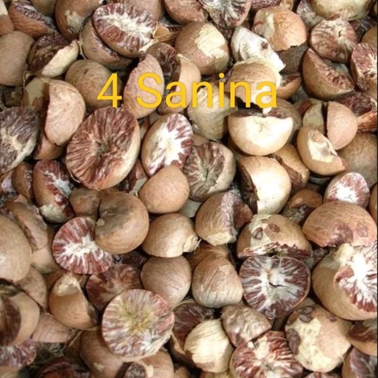 PINANG KERING MEDAN 1/2 KG &amp; 1 KG / PINANG BULAT KERING