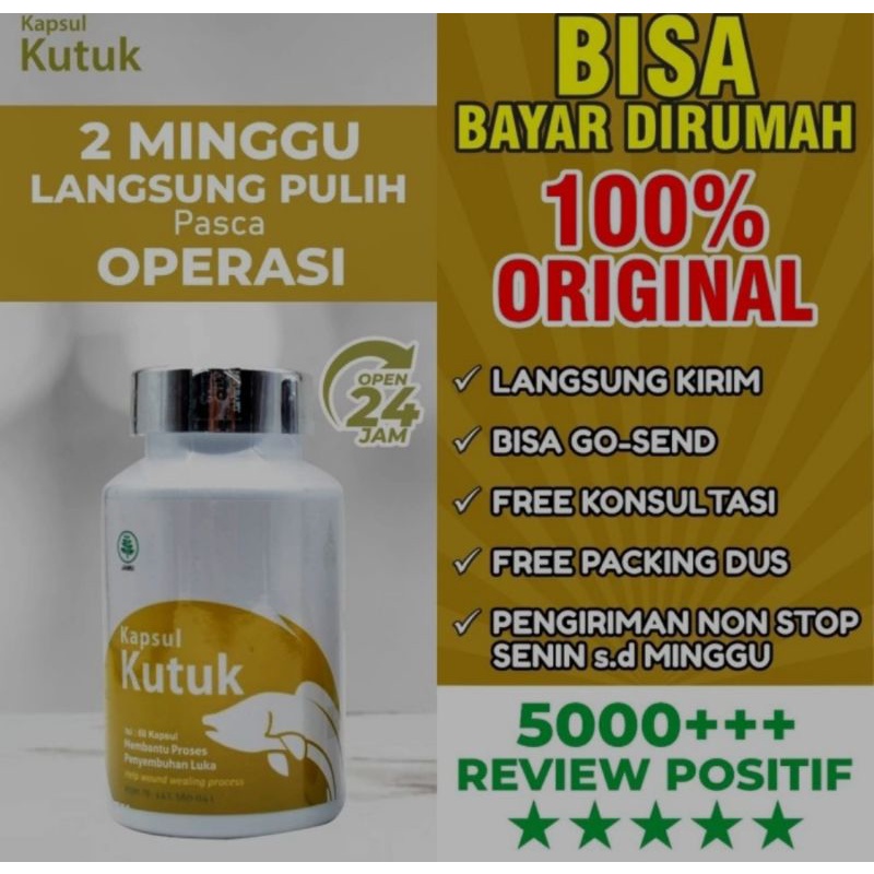 Jual Kapsul Kutuk Asli Original Obat Pengering Luka Bakar Pasca Operasi Shopee Indonesia