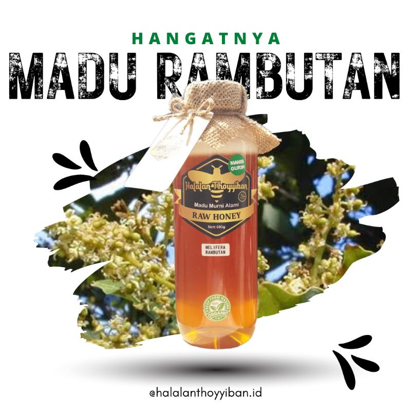 

Halalan Thoyyiban Raw Honey Madu Murni Alami Nektar Rambutan 600g