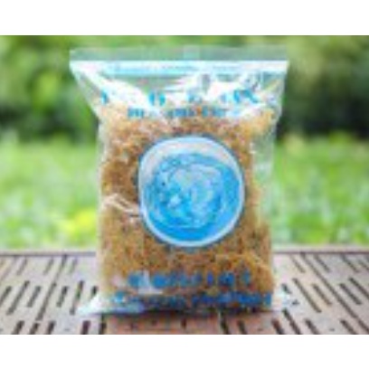 

RUMPUT LAUT KERING (SPINOSUM)