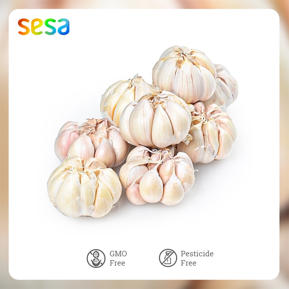 

BAWANG PUTIH 1kg - Rempah Sayuran Fresh Sehat Segar