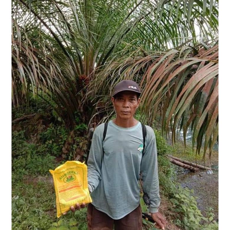 Recomend Pupuk Organik pertanian agrodyke untuk sawit kakao kemasan 1 kg hemat banget ,.