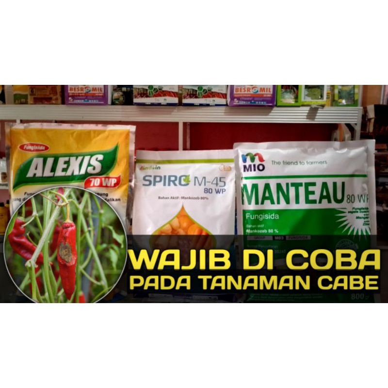 FUNGISIDA SPIRO M-45 80WP ,FUNGISIDA MANTEAU 80WP ,FUNGISIDA ALEXIS 70 WP ,ANTRACOL 70 WP,ZIFLO 76 W