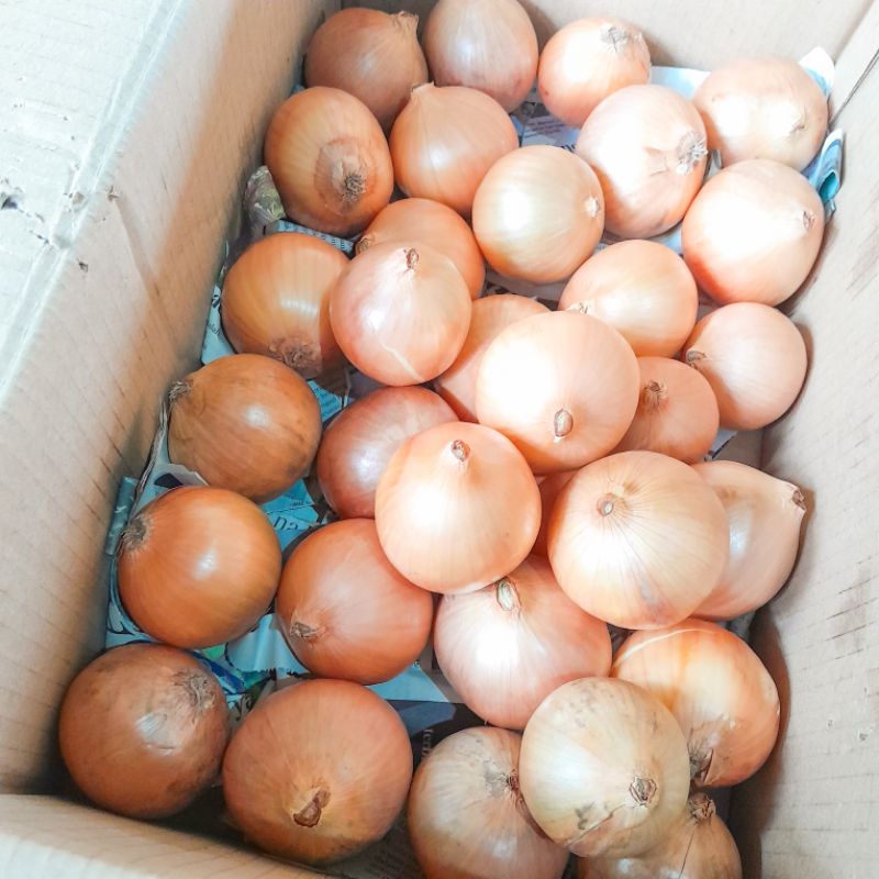 

BAWANG BOMBAY 200 GRAM