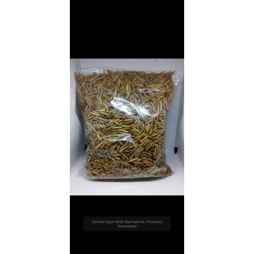 maggot kering magot kering 1kg