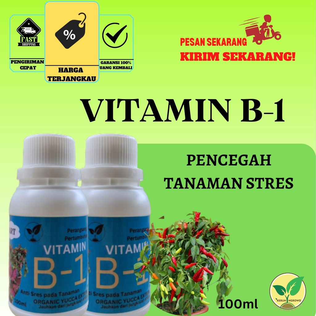 Jual Vitamin B1 Premium Nutrisi Tanaman Anti Stress | Shopee Indonesia