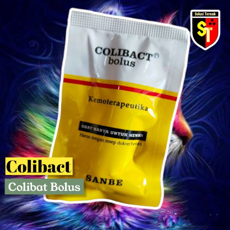 Colibact Bolus Sanbe Obat Anti Bakteri Sapi Kerbau Kambing