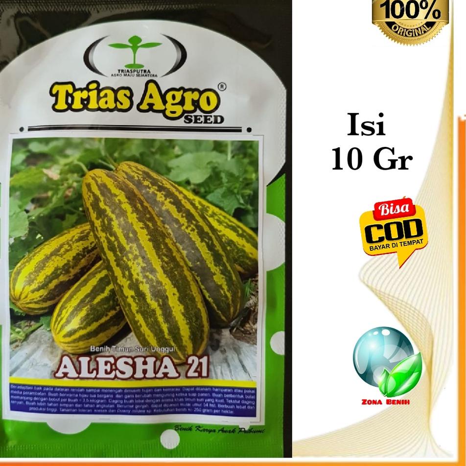 Stok terbaru  Bibit Timun Suri ALESHA 21 Kemasan 10 Gram Benih Timun Suri Unggul Timun Suri