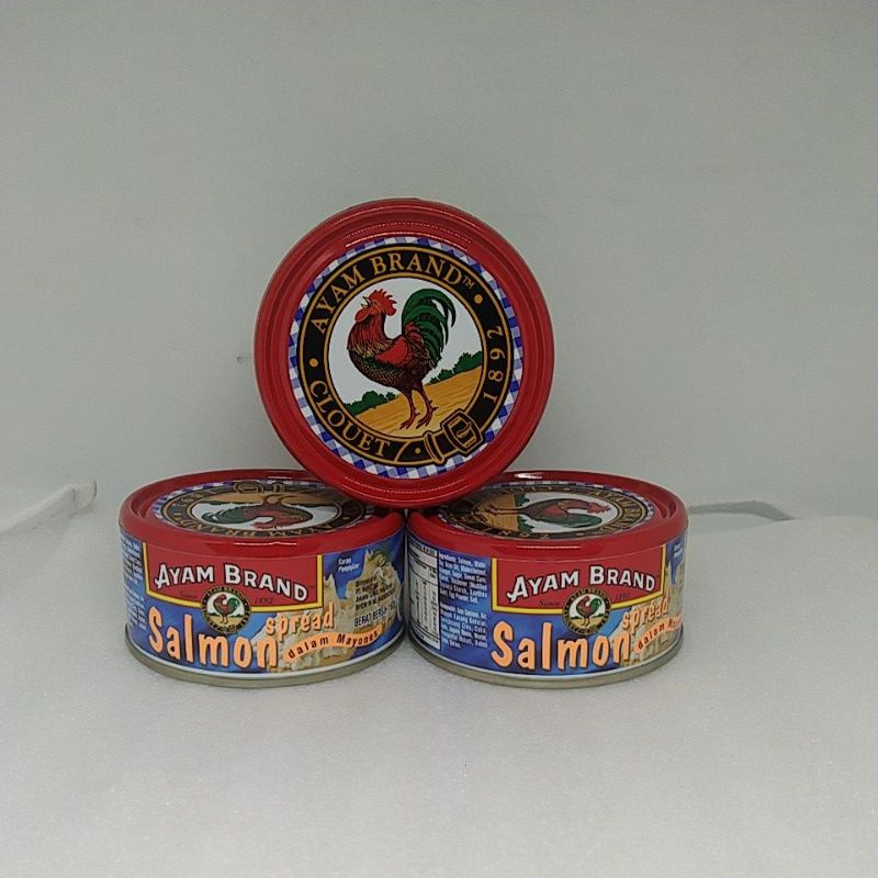 

salmon spread dalam mayones