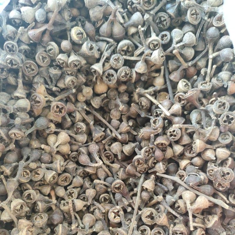 

ceplikan/ceplik sari kering 1kg