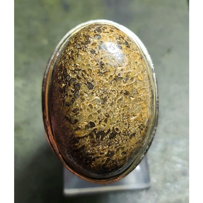 Batu Upas Wisa Jumbo