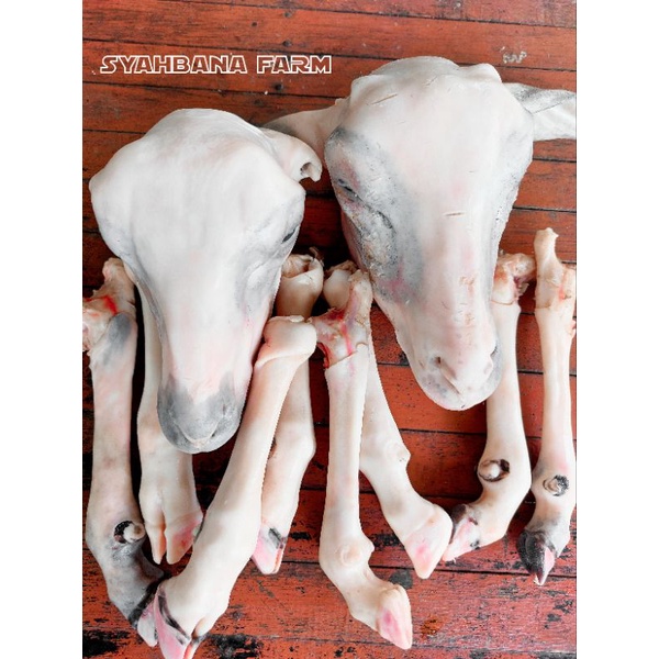 

Kepala kambing dan kaki