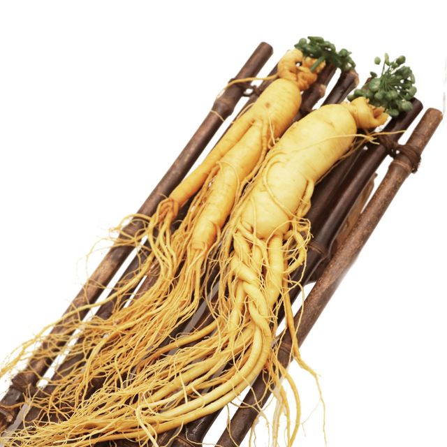 

Ginseng Fresh Hidup Perbatang 100gram 100% Asliii