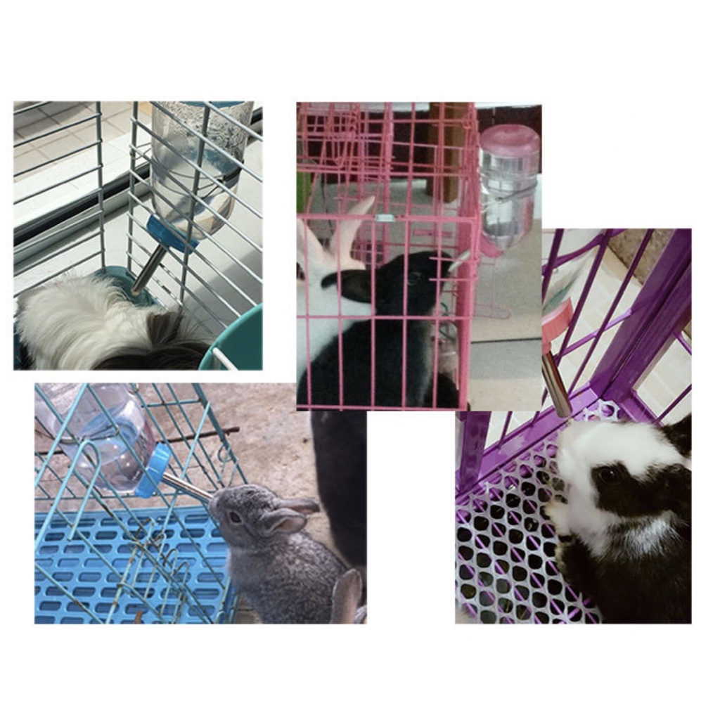 BOTOL DOT TEMPAT MINUM HAMSTER KUCING KELINCI ANJING MARMUT SUGAR GLIDER PET DRINKING BOTTLE 300ML