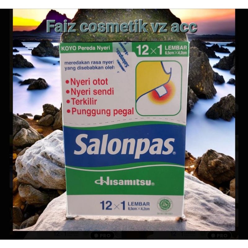 Salonpas Koyo [isi 12 lembar]