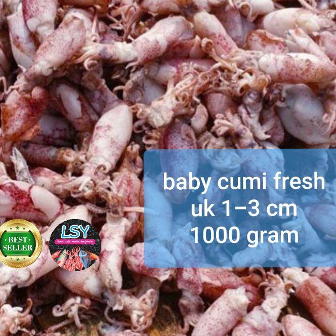 

➦ ikan asin baby cumi / cumi rebus 78 berat 1kg ☛