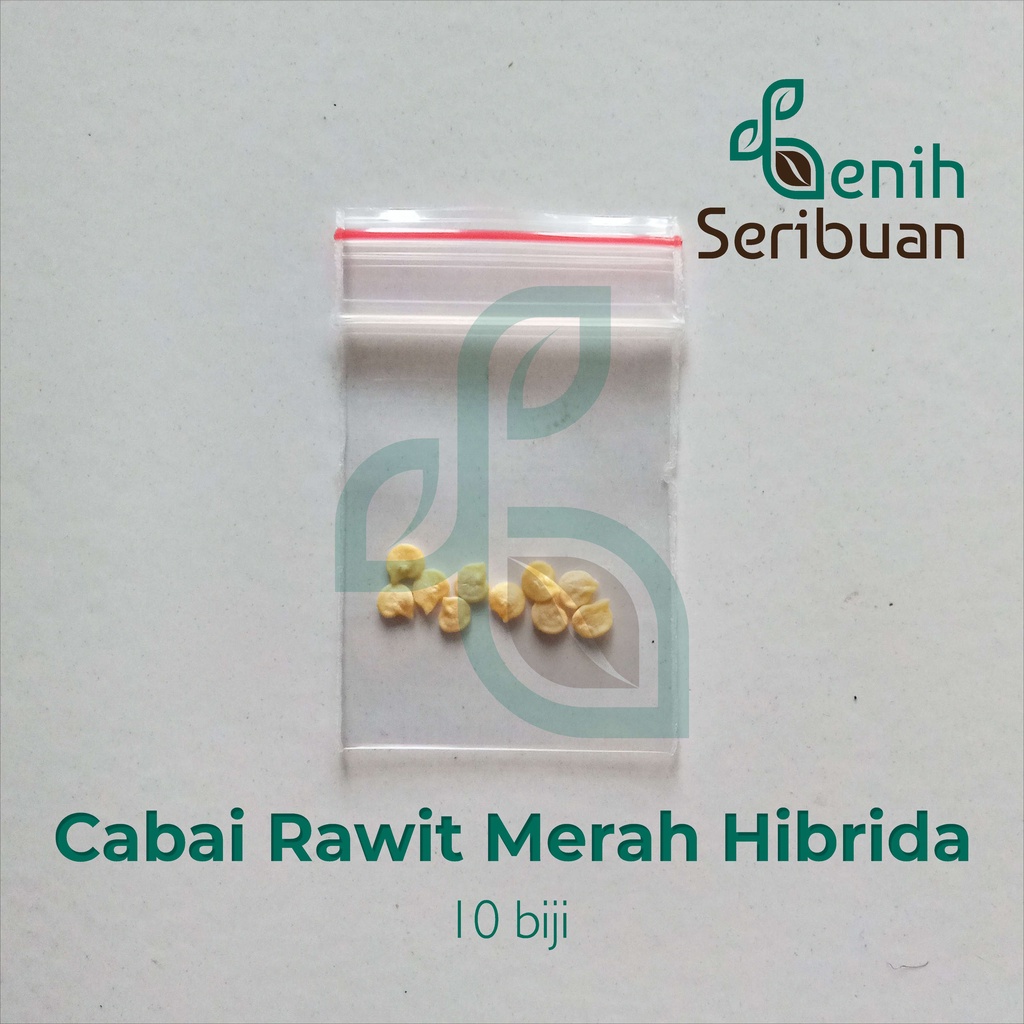 Benih Seribuan - 10 Bibit Cabe Rawit Merah F1 Hibrida