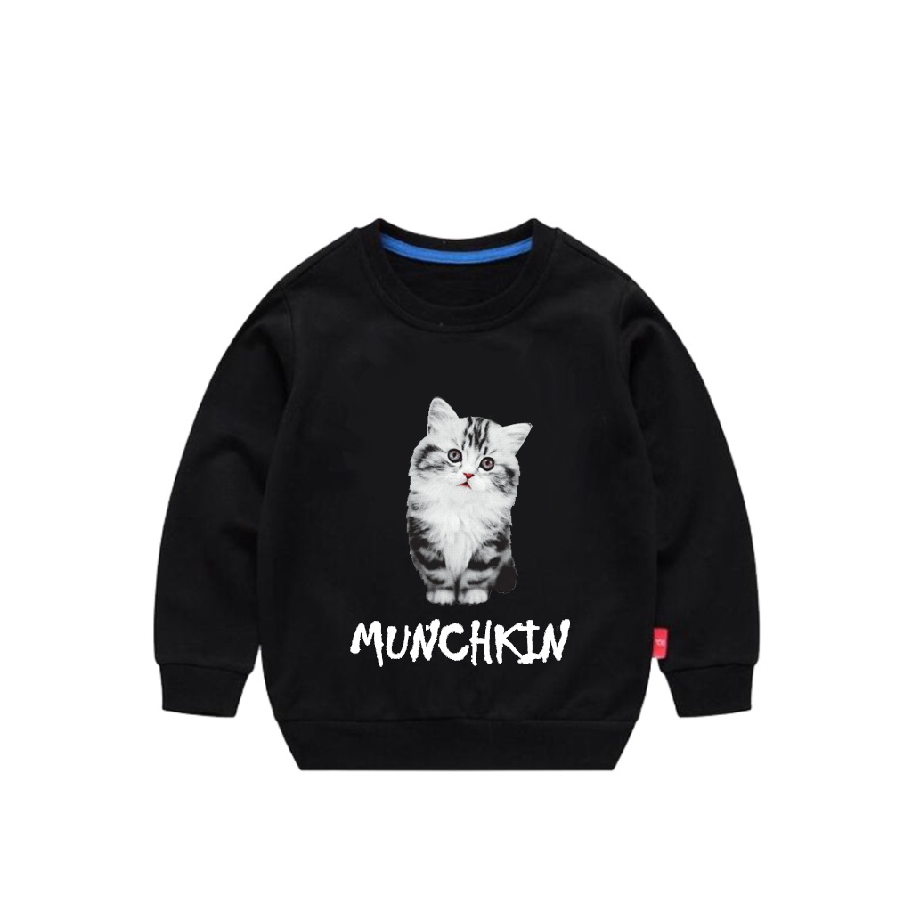 Sweater Anak Murah Usia 1 - 6 Tahun Baju Anak Kucing Munchkin
