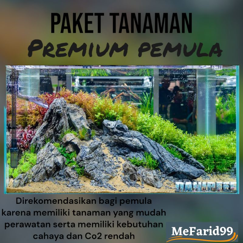 Jual Paket Tanaman Aquascape Premium Pemula Paket Tanaman Pemula Newbi Aquascape Paket 5194