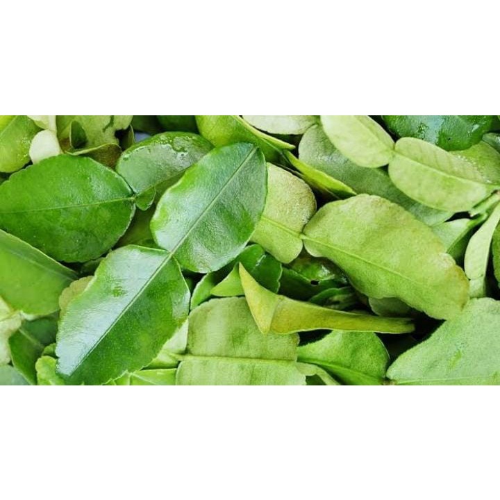 

Daun jeruk per 1 plastik