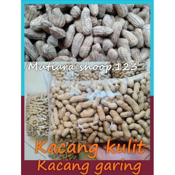 KACANG SANGRAI/OVEN KACANG KULIT KACANG GARING/KERING 250 GR