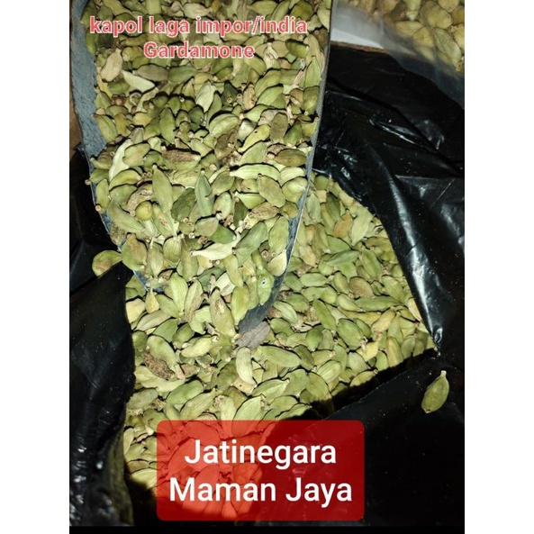 

KapolLagaImpor50gr
