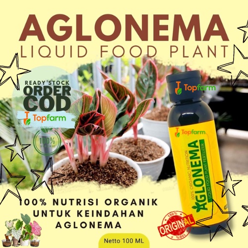 Pupuk Aglonema Penumbuh Tunas Terbaik 100mL / Pupuk Aglonema Penyubur Untuk Daun / Pupuk Penyubur Ag