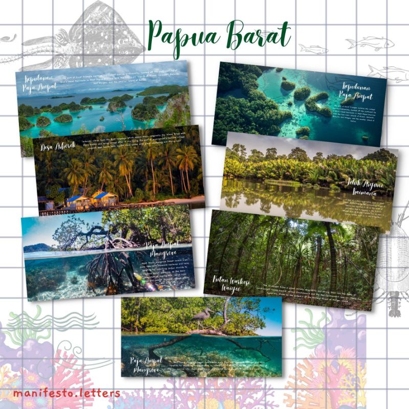 

Postcard Long Papua Barat | Kepulauan Raja Ampat | Kartupos Islands Sea | Kaimana | Mangrove