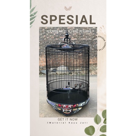 sangkar murai decal custom Lanawooden kayu jati sangkar murai lomba sangkar murai kayu jati sangkar 