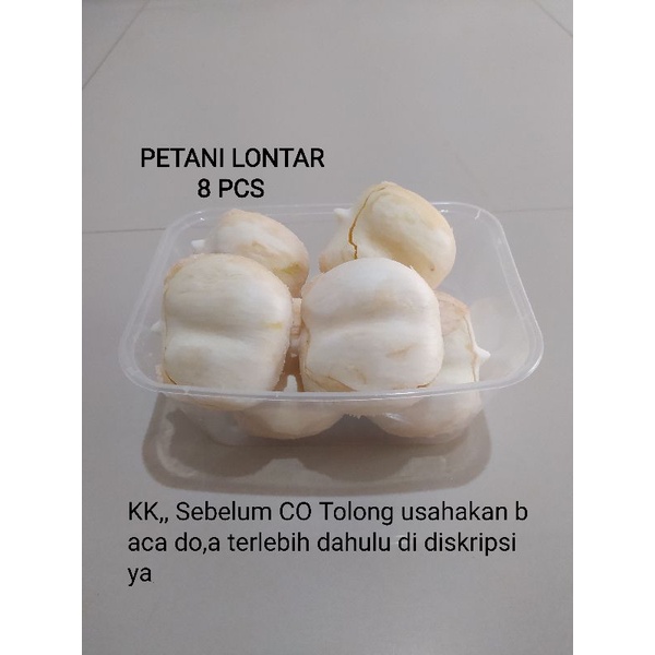 BUAH LONTAR KUPAS SUPER ( 8 PCS )