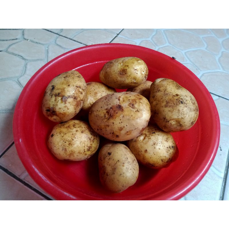 

Kentang Bandung kiloan